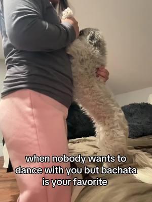 she wasn’t feeling the bachata 😭 #dog #dancepartner #dancing #bachata #dogsofttiktok #viral #romeosantos #fyp