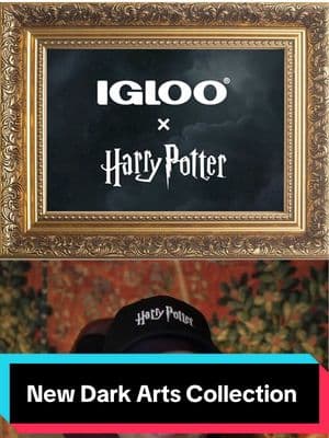 📰NEWS POST📰  ✨Igloo has launched a Harry Potter Dark Arts Collection ✨  🖤✨ First up, the Square Lunch Cooler Bag for $29.99. This sleek, black cooler is decked out with gold-tone details, including a metallic 3D Deathly Hallows symbol. ⚡️💀 🎒✨ Next, the Mini Convertible Backpack for $39.99. It’s a cooler disguised as a stylish black velvet backpack with embossed snake imagery 🐍. It features gold-tone accents and a 3D Dark Mark. 🪄 Plus, it magically converts into a crossbody bag and holds up to 12 cans. 🧊🥤 ☕✨ The collection includes two 16-ounce stainless steel tumblers at $19.99 each. The first tumbler is adorned with gold artwork of Nagini, Voldemort’s loyal snake. 🐍💛 The second showcases gold designs of the Deathly Hallows and the Dark Mark. ✨💀⚡️ Don’t forget to follow for more Harry Potter news like this! 🪄✨ #harrypotter #wizardingworld #igloo #cooler #coolers #potterhead #harrypottermerch