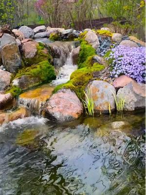 Some may wish for a wraparound porch, I wish for a wraparound pond 💦  #iowawaterscapes #justaddwateria #iowa #desmoines #waterfall #pond #outdoorliving #landscaping #waterscape #aquascape #fountain #koipond #waterfeature 