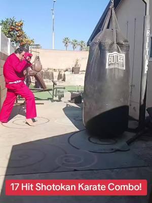 17 Hit Shotokan Karate Combo! #fyp #shotokankarate #punchibgbag #fighttraining #mma #muaythai #kickboxing 