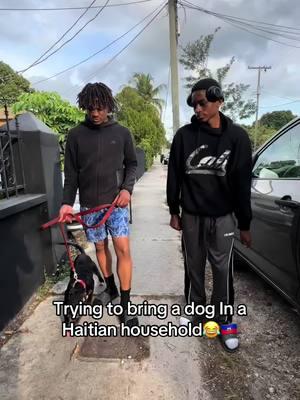 Trying to bring a dog In a Haitian household😂🇭🇹 #haitiantiktok #haitiancomedy #lilsolo305 