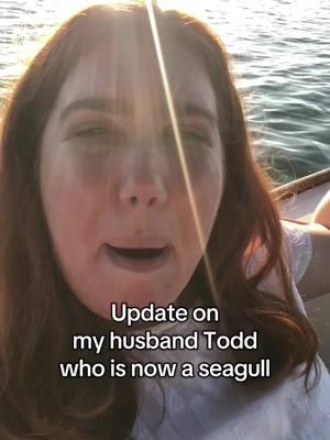 For those who asked, still out here trying to get Todd back #wivesofseagulls #todd #seagullsoftiktok 