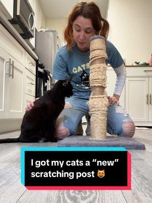 I got Uno and Dos a “new” scratching post 😻 @Kat Curtis  #cats #cattoys #catsiblings #catperson #rescuecats #blackcats #buynothing #oneeareduno #twoeareddos