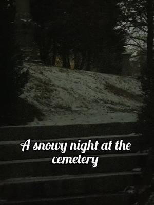 Posting my last video! Follow me on my IG: @swamphoney_and_bones  Thank you all for watching and supporting.  . . . #snowday #explorecemeteries #cemetery #spookytiktok #hauntedcemetery #spookycemeteries #southerngothic 