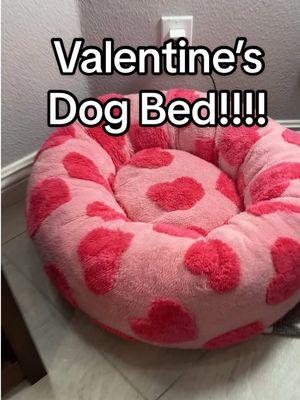 Their new valentine bed from the shore is so freaking cute you guys it is selling out so quickly. Hurry run and get you one before they’re all gone! #valentine #valentines #ValentinesDay #dogs #cutedogs #dogsoftiktok #puppy #puppytok #doggie #chihuahua #chihuahuastiktok #goldendoodle #cutepups #lesure #lesuredogbed #dogbed 