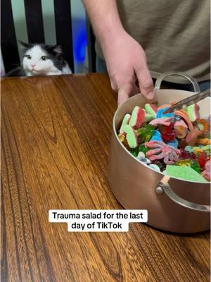 It’s been fun TikTok #cat #traumasalad #trauma #goodbye 