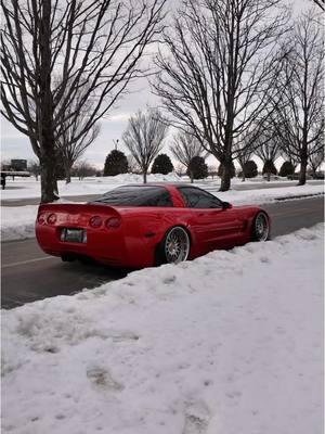 Best static C5 right now according to @lsbren #corvette #3piecewheels #cartok #carporn #fyp #stance 