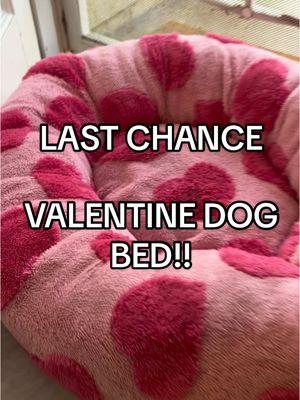 This is literally your last chance to get this bed on the TikTok shop. Hurry run and grab it today before the time is up. #lastchance #dogbed #valentines #ValentinesDay #hearts #pink #pinkheart #dogbed #dogs #doggie #puppytok #puppy #cutepetsoftiktok #cutepets #cutedog #PetStyle #FurryLove #furry #dogtok #TikTokShop #lesure