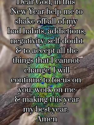 Dear God, in this  New Year help me to shake off all of my  bad habits, addictions, negativity, self-doubt  & to accept all the  things that I cannot  change! I will continue to focus on  you, work on me & making this year my best year.  Amen #dailyprayers #DearGod #thankyouGod #awomanwhoprays #IloveyouGod #motivationalprayers 