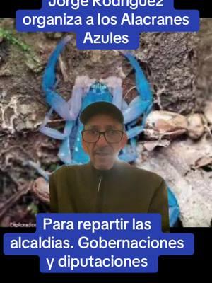 #greenscreen #alacranes son organizandos por #maduro #diosdadocabello y #jorgerodriguez para las proximas elecciones regionales en #venezuela para de esta manera hacerle creerle al mundo que Ellos cuentan con oposicion. Que son democratas y que los resultados lo demuestran. Cuando Elvis Amoroso saque las actas y proclame a los gobernadores, diputados, alcaldes y concejales. Por su puesto que cada Alacran tendra su pedazo de la Torta. #tiktokviral #paratiiiiiiiiiiiiiiiiiiiiiiiiiiiiiii #fyp #fypシ゚viral #venezuela🇻🇪 #edmundo #yacasivenezuela @María Corina Machado @Edmundo González Urrutia @🇻🇪 kilometro 