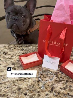 HaPpY SaTuRdAy 🙆🏻‍♀️💁🏻‍♀️🙋🏻‍♀️ #frenchie#frenchies#frenchiesoftiktok#frenchielife#frenchiesquad#frenchielover#frenchielovers#frenchbulldog#frenchbulldogs#frenchbulldogsoftiktok#FYP @rowdyrhino24 ~XoXo~🦏🏹🩶