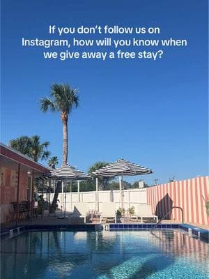 Keep up with all things St. Augustine and never miss out on the good vibes! See you on insta, friends.🦩🌴 #staylocal #staugustine #staugfl #staugustinebeach #visitflorida #visitstaugustine  