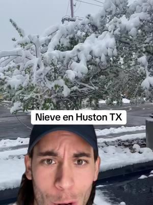 #nieve #huston #texas #ice 