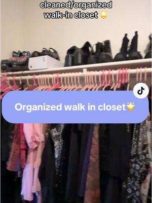 I can’t believe tiktok isn’t gonna be around to see me get my life together again 😔🙏🏽 #organizewithme #walkincloset #whimsigothfashion #whimsigoth #maxiskirts #fashion #witchy #alt 