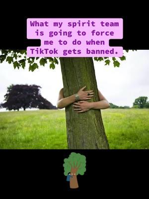 🌳#trending #tiktokban #tiktokcreaters #tarot #spirituality #healing #grief #hugatree #spiritguides 