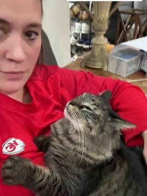 Frank the Tank is back to love on his mom!!! #catsoftiktok #frank #cat #frankthetank #lovable #fyp 