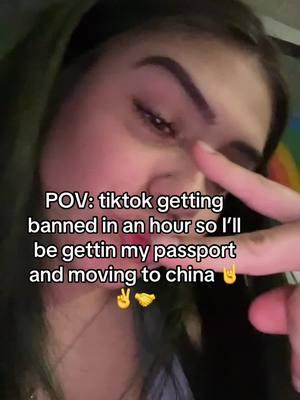 Who’s with me?! 👏🙌 lol #jokes #donttakethisseriously #movingtochina #tiktokban #goodbyetiktok #passportphoto 