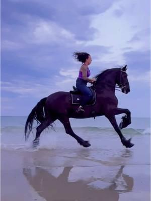 I hope TT doesn’t go away… but if it does… Appreciate each and every moment you have in life! We have one life to live 💜 #friesians #horses #kfpsroyalfriesian #friesiansoftiktok #kfpsroyalfriesian #equestrian #horsesoftiktok #caesark9 #dante 