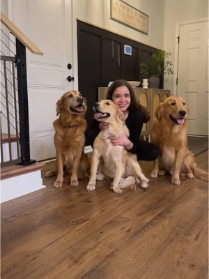 In 4 months we gained 50,000 friends to share our journey with! We are so thankful for all of you!! We won’t say goodbye! Follow us on IG @dannahhgibb to continue to see our girls story unfold! 💕🐾🦴 #goldenretriever #golden #goldenretrieverlife #goldenretrieverpuppy #goldengirl #puppytiktok #goldenretrievers #ectrodactyly #dogsoftiktok #dogtok #fy #BlackTikTok #trending #goodbye #puppiesoftiktok #puppy #dog #foryoupage #tiktokban 