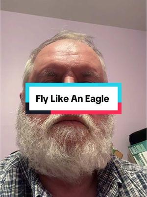 Fly Like An Eagle. Steve Miller Band #flylikeaneagle #stevemillerband 