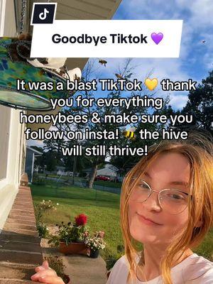 To think how TikTok actually changed my life, 5 years ago my little honeypot business went viral and just like that, my life changed 💛 it is bittersweet to say goodbye on TikTok but I know it’s not forever, go ahead and swarm on over to insta or the link in my bio! Love all my honeybees very dearly, you guys mean the world. #kacieshoneypot #whippedbodybutter #whippedbodybutters #beekeeper #tiktok #whippedbodybuttersforskin #allnatural #SmallBusiness 