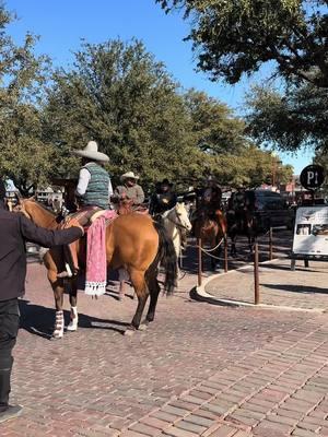 Ojo alegre activado!🤭 #joansebastian #ojo #alegre #activado #tx 