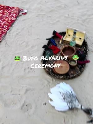 Bufo Alvarius ceremony. Posting all drafts now. #awakeningsouls #mentalhealthmatters #naturesmedicine #sacredmedicine #bufoalvarius #bufo 