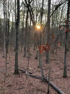 A little “Me” time today. Its so important to get your alone time. #alive #awaking #recharge #free #healing #alone #health #peace #sunrise #newday