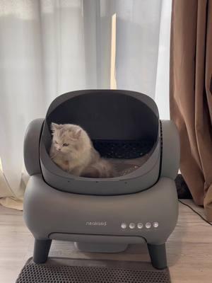 cat litter box Neakasa: #Smartcatlitterbox #Raisecat #cat #catlitter #clean #pet #neakasa 