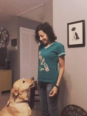 My favorite TikTok! #labadorretriever #dogsoftiktok #dancepartner #crytome #solomonburke #whenyoureallalone #whenyourbabyleavesyouallalone 