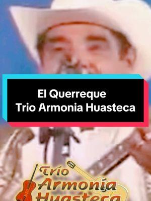 El Querreque 🎻 TRÍO ARMONÍA HUASTECA #elquerreque #trioarmoniahuasteca #armoniahuasteca #zimapanpueblomagico #zimapan #zimapanhidalgo #trioshuastecos #huastecahidalguense #huastecahidalguense🥰💞 #musicahuasteca #musicahuasteca🎻 