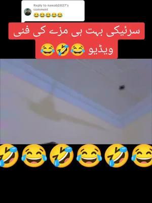 #onthisday #😂😂😂 #sannykhan110 #foruyou #shadiseason #growmyaccount #standwithkashmir #viralvideo #funnyvideo #foruyou 