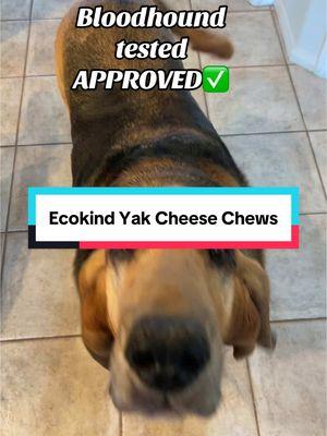 These Ecokind yak cheese chews are such a premium quality product for your dogs!#ecokind#yakchew#dogtreat#dogs #dogsoftiktok#yakcheesechews