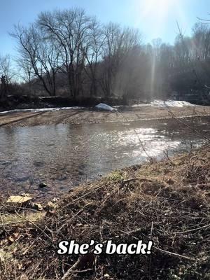 #agate #rocks #fossils #fossiltok #rockhounding #geode #geodes #crinoid #coral #agate #rockhoundingadventures #crystal #quartzgeode #creeksquad #creek #creeklife #rockhoundsoftiktok #viraltiktok #rockhounds #nature#rockhounding #crystaltok 