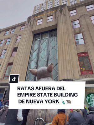 RATAS AFUERA DEL EMPIRE STATE DE NUEVA YORK 🗽🐀 Uno de los sindicatos de construcción de Nueva York (Union of Laborers 79) se está manifestando afuera del emblemático Empire State Building, esto debido a que están contratando trabajadores no-sindicalizados para hacer las construcciones y mantenimiento del famoso rascacielos de Manhattan.  Esto nos habla sobre los temas mas importantes relacionados con construcción en Manhattan y todo Nueva York #nuevayork #newyork #nyc #manhattan #latinosennewyork #construccion #empirestatebuilding #empirestate 