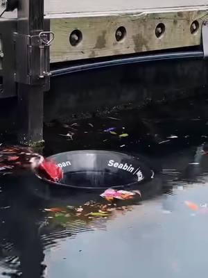 ¿Has visto alguna vez un cubo de basura en el mar? #basura#limpiar#automático#inventado#océano#ambiente