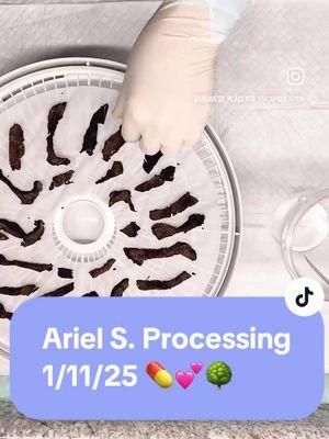 Ariel’s processing video! IG watermark because TT was banned for all of 12 hours and I had to edit it there. Hopefully never again…  #Certifiedplacentaencapsulator #placentaspecialist #placentaencapsulation #placentapills #placentacapsules #placenta  #postpartumhealing #postpartumrecovery #postpartum #naturalbirthhealing #naturalbirth #midwestplacentaencapsulation #healthypregnancy #midwestplacenta #encapsulateitdonttrashit #placentophagy #placentatreeoflife #placetasalve 