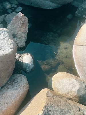 Can’t go LIVE, but that doesn’t stop water therapy. #tiktokfamily #keepgoing #MentalHealth #inspiration #water #watertherapy #nature #naturetherapy 