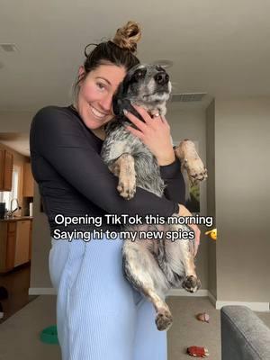 Never been happier to be out of timeout 🫡  #tiktokban #savetiktok #dogmom#spies #dogmomlife #tiktokupdate 