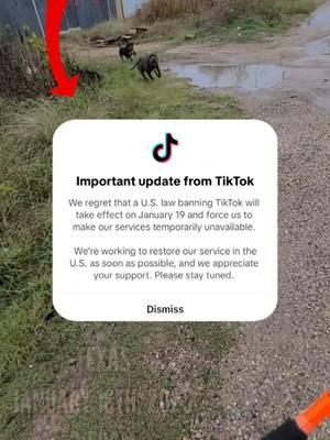 TIKTOK IS BACK! (FINALLY) 😨😯 #fishing #fishingvideos #fishingtime #bassfishing #texasfishing #Outdoors #jermfishingtv #freshwaterfishing #fishtok #pondfishing #tiktok #tiktokban #tiktokbanned #tiktokisback 