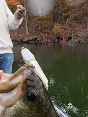 Another stud on the Hyper Shad!  #dudeletsfish #smithmountainlake #getchapull #bassfishing #hypershad #swimbaitgarage #glidebait #swimbait #tiktokisback 