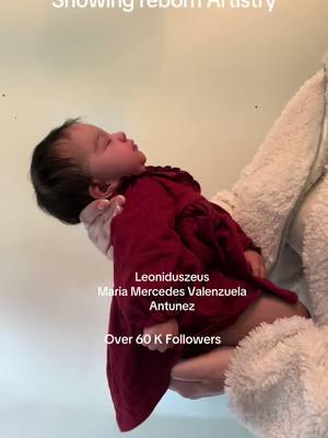 #showingrebornartistry #rebornartistry #reborning #reborndoll #reborncommunity #leoniduszeus #mercedesvalenzuela #outfit #showingdetailsreborndoll #wow #realisticdolls 