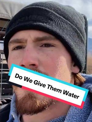 It’s the water thing again. 🤠🤠#goats #goatscaping #goatgrazing #grazinggoats #contractgrazing #contractgoatgrazing #targetedgrazing #targetedgoatgrazing #grazingsystems #prescibedgrazing #prescribedgoatgrazing #systemsgrazing #rentagoat #yardmaintenance #weedremoval #firefuelreductionw #brushremoval #thegoatguy #goatguy #newmexico #bosque #newmexico #cowboymax