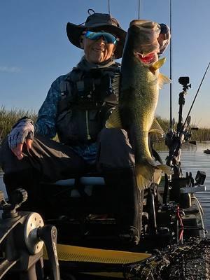 Fair winds and gorgeous weather down here in #SouthFlorida #everglades #fish #southfloridafishing #NativeWatercraft #FishingIsGoodHere #WomensFishingFederation #KayakBassFishing #Bass #KBF #KayakFishing #GoProHero13 #bassfishing