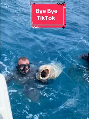 #byetiktok #pesca #spearfishing #pesca #pescasub #miami #langosta 