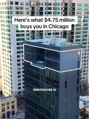 Would you live in Chicago?  • #chicago #penthouse #house #realtor 