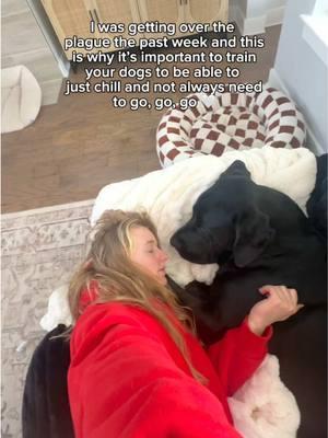 I was getting over the plague the past week and this is why it’s important to train your dogs to be able to just chill and not always need to go, go, go 🤍 #dogmom #DogTraining #lifewithdogs #dogtips 