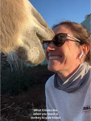 Lip dexterity is on point. #farm #farmtok #farmanimals #donkey #donkeysoftiktok 