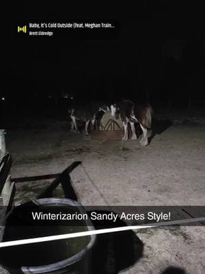 Too busy preparing for the artic blast to notice Tik Tok disappeared for a bit! Anyway, girlie's are fat, sassy and ready for the cold and snow!!! #budweiserclydesdales #sandyacresclydesdales #fatponies #livingintheartic 