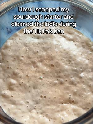 Scooping my sourdough starter during the TikTok ban #sourdoughstarter #sourdough #sourdoughtiktok #sourdoughtok #sourdoughbread #sourdoughasmr #sourdoughcrunch #sourdoughclub 